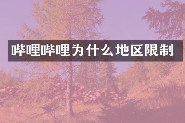 哔哩哔哩为什么地区限制