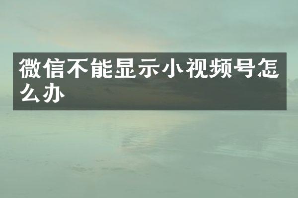 微信不能显示小视频号怎么办