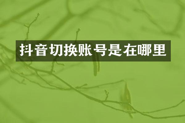 抖音切换账号是在哪里