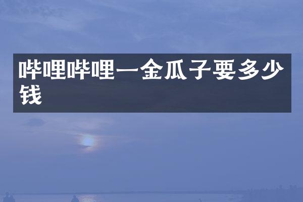 哔哩哔哩一金瓜子要多少钱