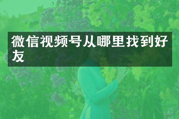 微信视频号从哪里找到好友