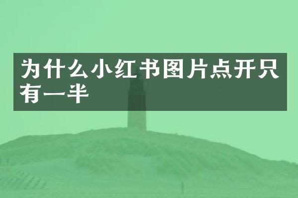 为什么小红书图片点开只有一半