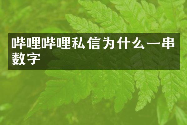 哔哩哔哩私信为什么一串数字