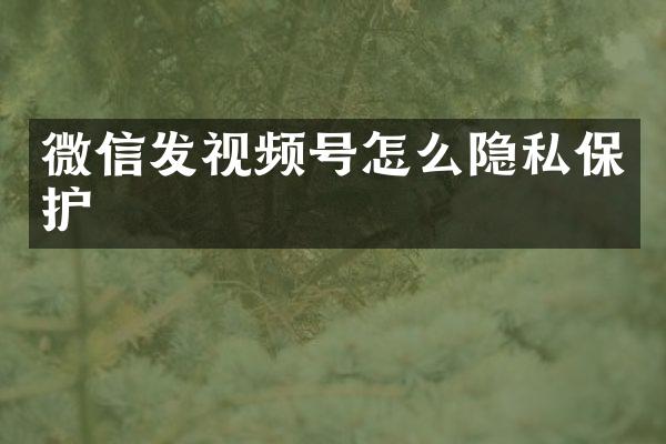 微信发视频号怎么隐私保护
