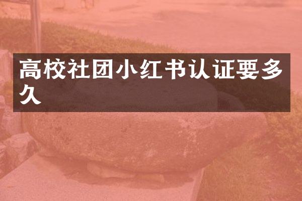 高校社团小红书认证要多久