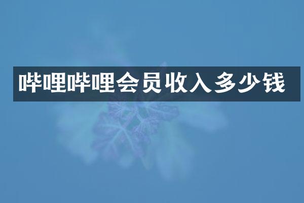 哔哩哔哩会员收入多少钱