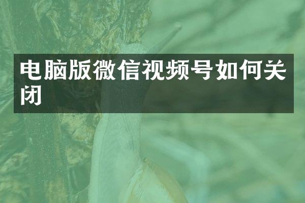 电脑版微信视频号如何关闭