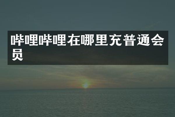 哔哩哔哩在哪里充普通会员