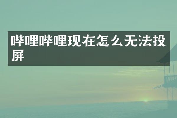 哔哩哔哩现在怎么无法投屏