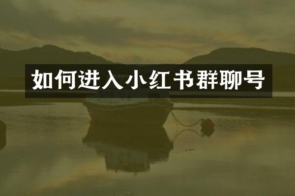 如何进入小红书群聊号