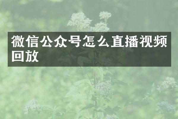 微信公众号怎么直播视频回放
