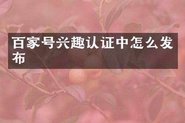 百家号兴趣认证中怎么发布