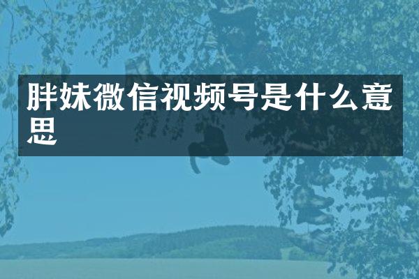 胖妹微信视频号是什么意思