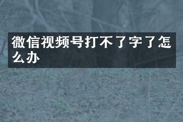微信视频号打不了字了怎么办