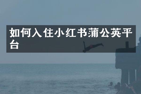 如何入住小红书蒲公英平台