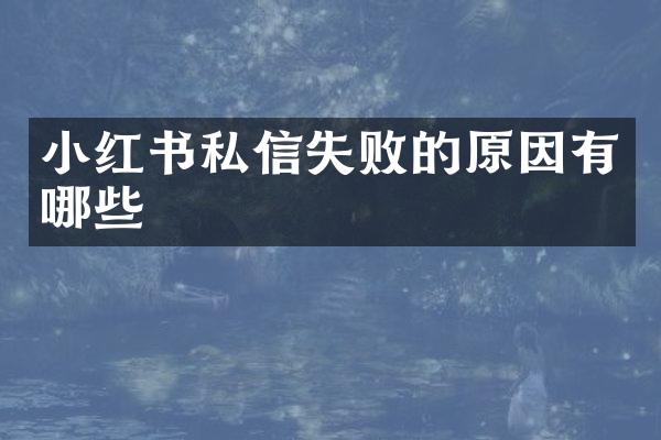 小红书私信失败的原因有哪些