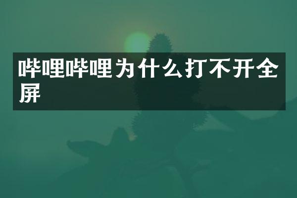 哔哩哔哩为什么打不开全屏