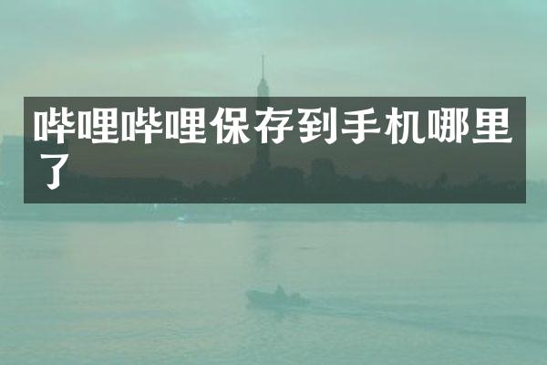 哔哩哔哩保存到手机哪里了