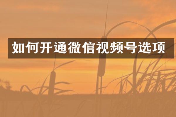 如何开通微信视频号选项