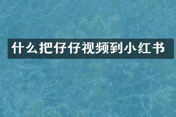 什么把仔仔视频到小红书