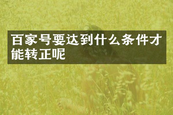 百家号要达到什么条件才能转正呢