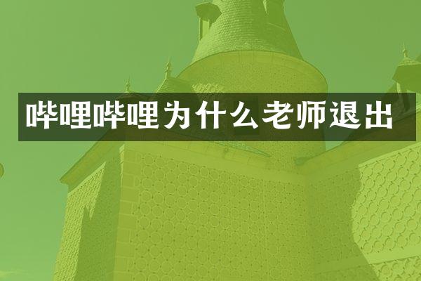 哔哩哔哩为什么老师退出