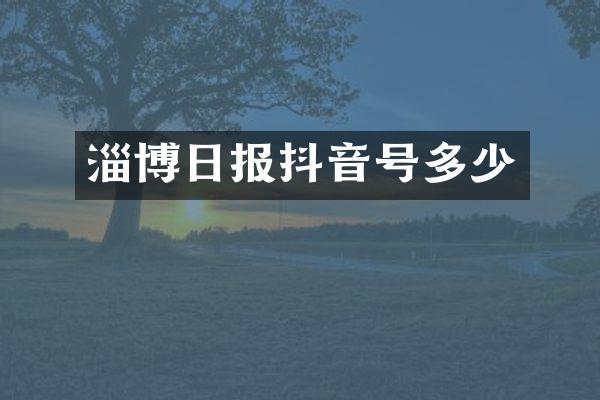 淄博日报抖音号多少