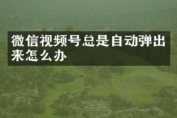 微信视频号总是自动弹出来怎么办