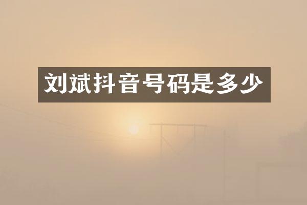 刘斌抖音号码是多少