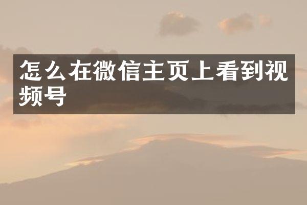 怎么在微信主页上看到视频号