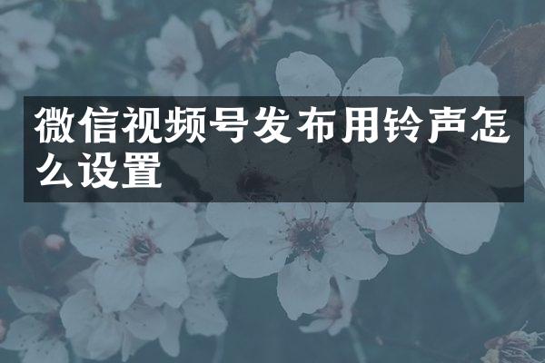 微信视频号发布用铃声怎么设置