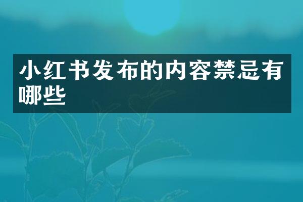 小红书发布的内容禁忌有哪些