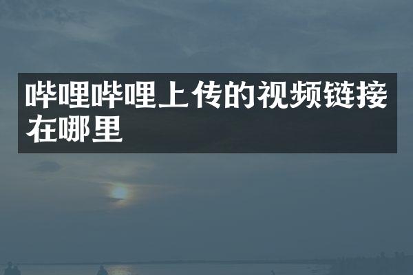 哔哩哔哩上传的视频链接在哪里