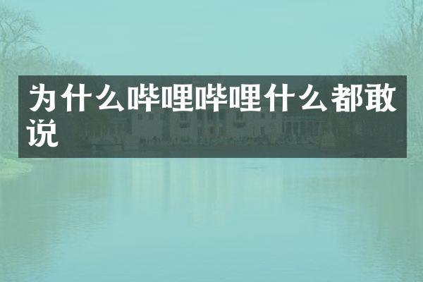 为什么哔哩哔哩什么都敢说