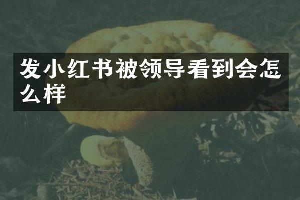 发小红书被领导看到会怎么样