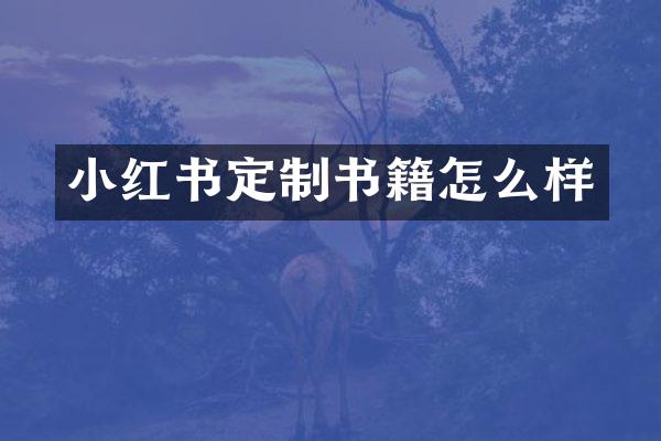 小红书定制书籍怎么样