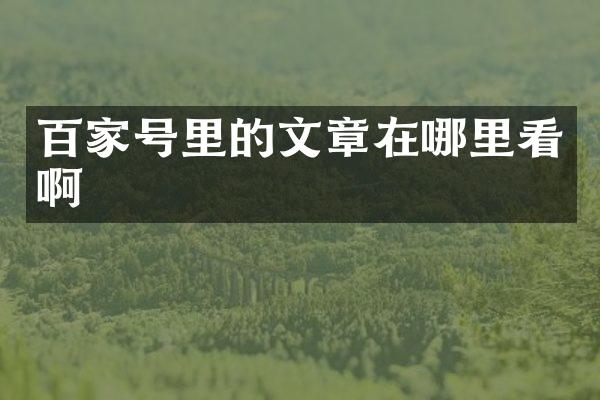 百家号里的文章在哪里看啊
