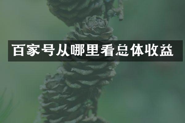 百家号从哪里看总体收益
