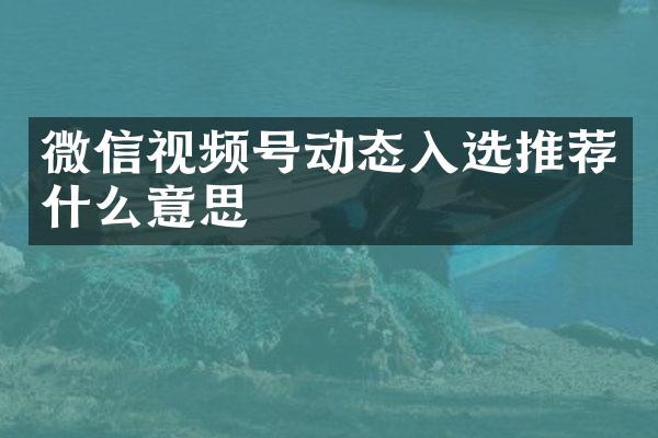 微信视频号动态入选推荐什么意思