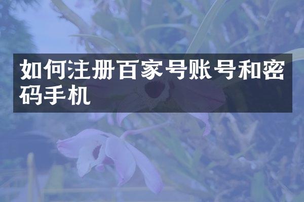 如何注册百家号账号和密码手机