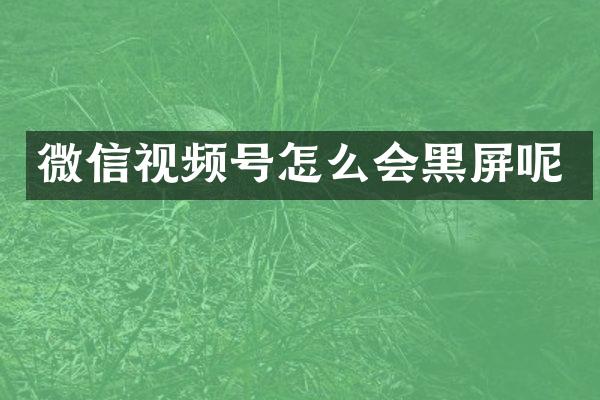 微信视频号怎么会黑屏呢