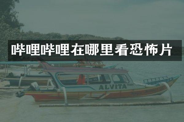 哔哩哔哩在哪里看恐怖片