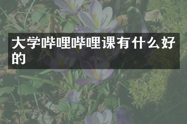 大学哔哩哔哩课有什么好的
