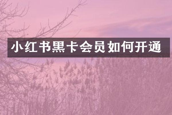小红书会员如何开通