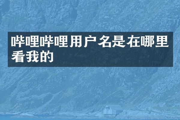 哔哩哔哩用户名是在哪里看我的