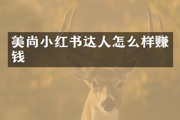 美尚小红书达人怎么样赚钱