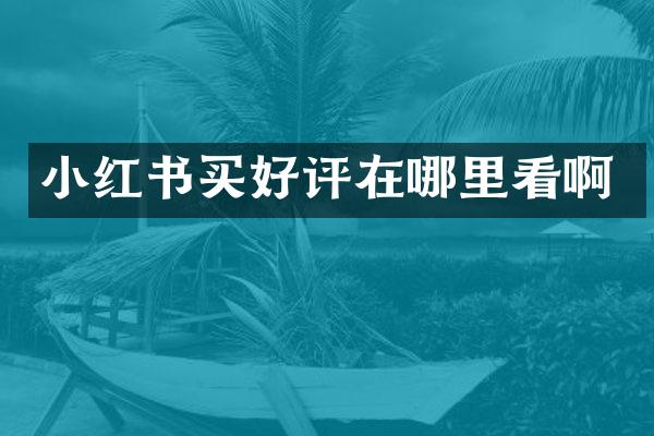小红书买好评在哪里看啊