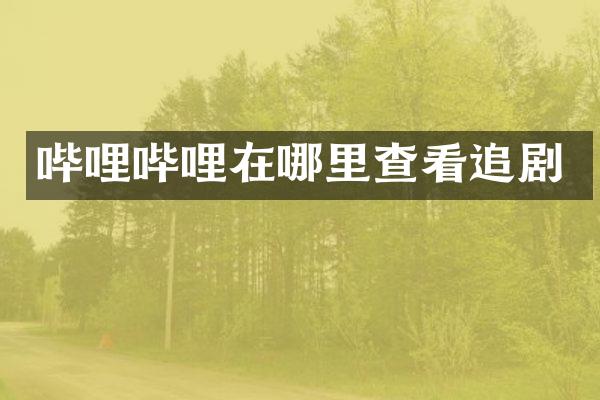 哔哩哔哩在哪里查看追剧