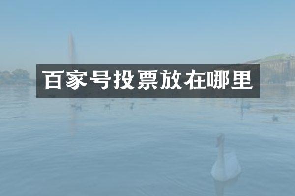 百家号投票放在哪里