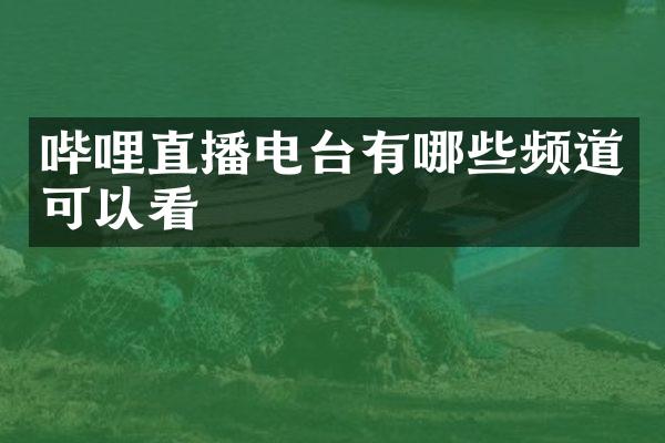 哔哩直播电台有哪些频道可以看